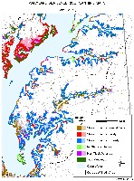 Chestertown, Rock Hall, Tolchester Beach, Betterton Beach, Sassafras River, Chester River, Maryland sea level rise planning map